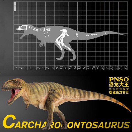 Pnso Carcharodontosaurus Gamba Model Carcharodontosauridae Dinosaur Animal Toy - Picture 3 of 11