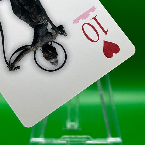 North No.23 Heart 10 Byodoin Ho-o-do Museum Buddhist Statue Playing Card Phoenix - Picture 6 of 6
