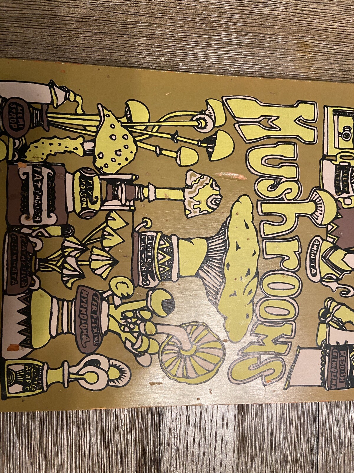 Picture 4 of 9