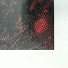 Bild 4 von 4