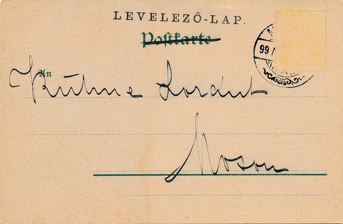 Motiv - Karte von kleinen Welpen (10353) - Imagen 2 de 2