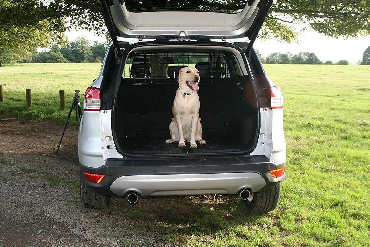 Ford Kuga 2008 2017 Car Headrest Black Mesh Dog Guard by UKB4C eBay
