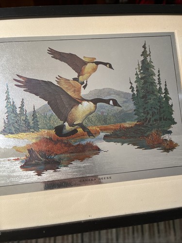 Vintage Sportsman's Framed, The Trophy Room Fred Sweney 4 Color-Etch Prints - Picture 6 of 6