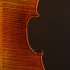 Bild 3 von 8
