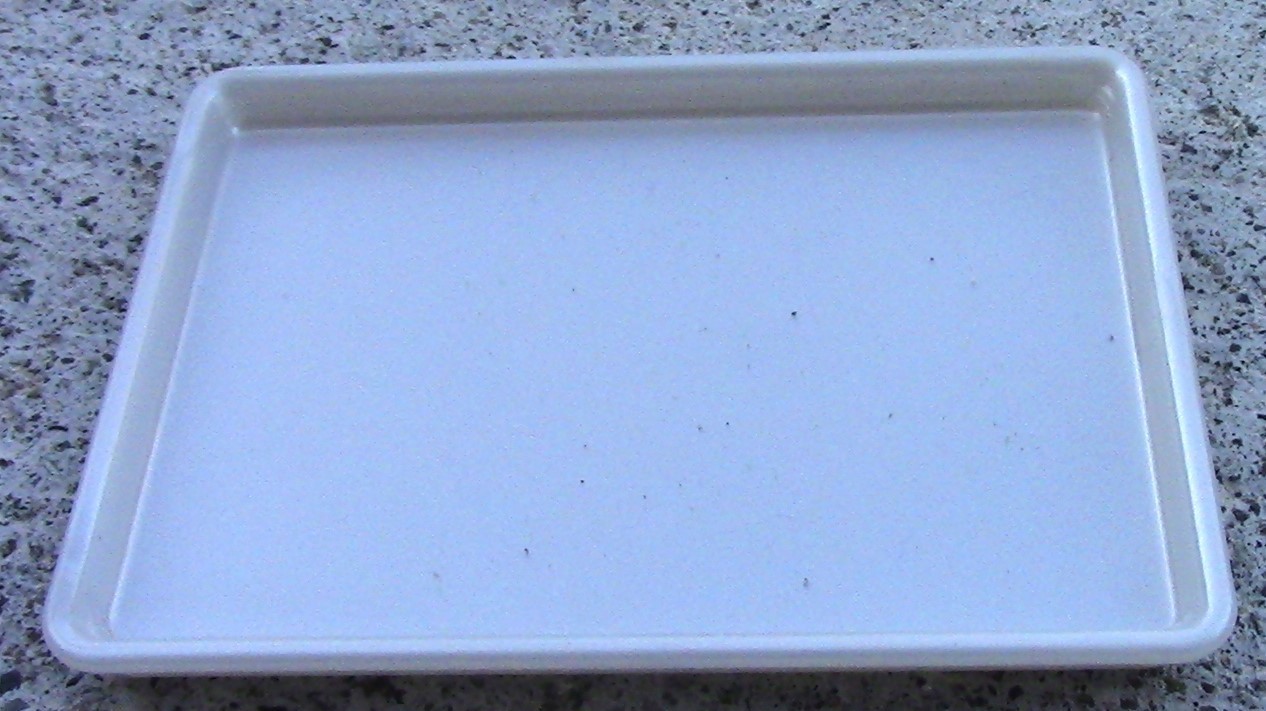 Bild 200 von 317