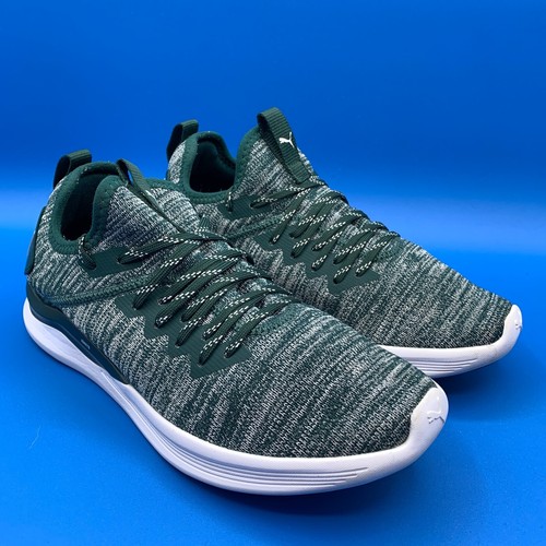 Puma Ignite Flash Evoknit Womens Shoes 