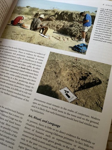 Human Past : World Prehistory and the Development of Human Societ - Bild 3 von 5