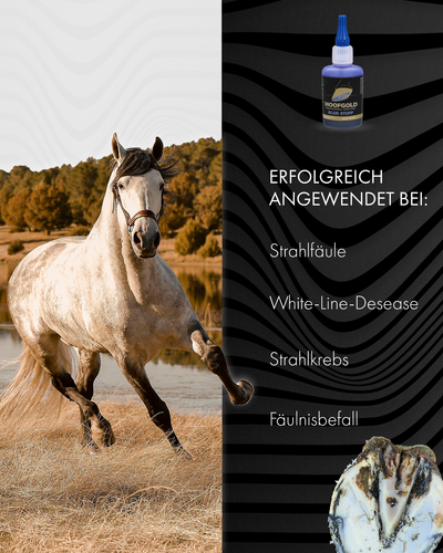 HOOFGOLD BlueStuff 50 ml producto para el cuidado de los cascos pudredumbre por chorro gel fijación por chorro caballo - Imagen 2 de 11