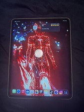 Apple iPad Pro 12.9-inch 2022 256GB Wi-Fi Space Gray included with TikTok