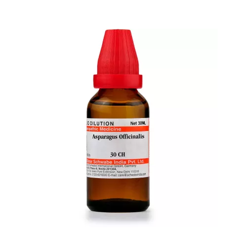Willmar Schwabe India Homeopathic Asparagus Officinalis Dilution 30ml - Picture 1 of 4