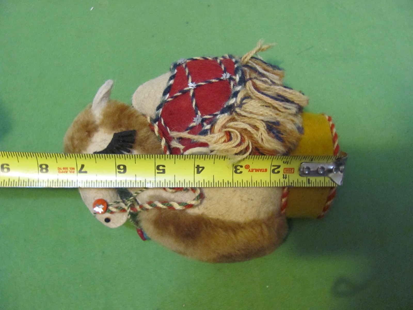 Foto 5 di 6