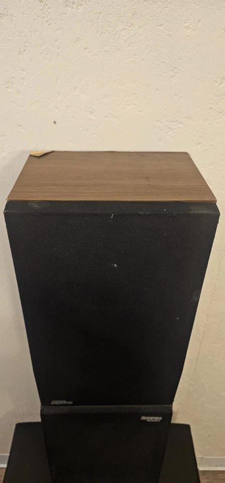 Par de altavoces Panasonic Thruster de dos vías probado Foto 2 de 4