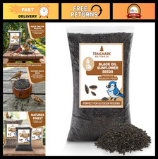 Premium 6 lb Black Oil Sunflower Seeds for Birds Wildlife - Non-GMO, USA Grown