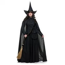 Rubies 409136 Wicked Witch Adult Costume - Large