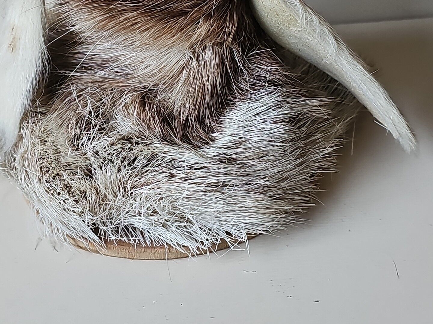 Picture 20 of 24