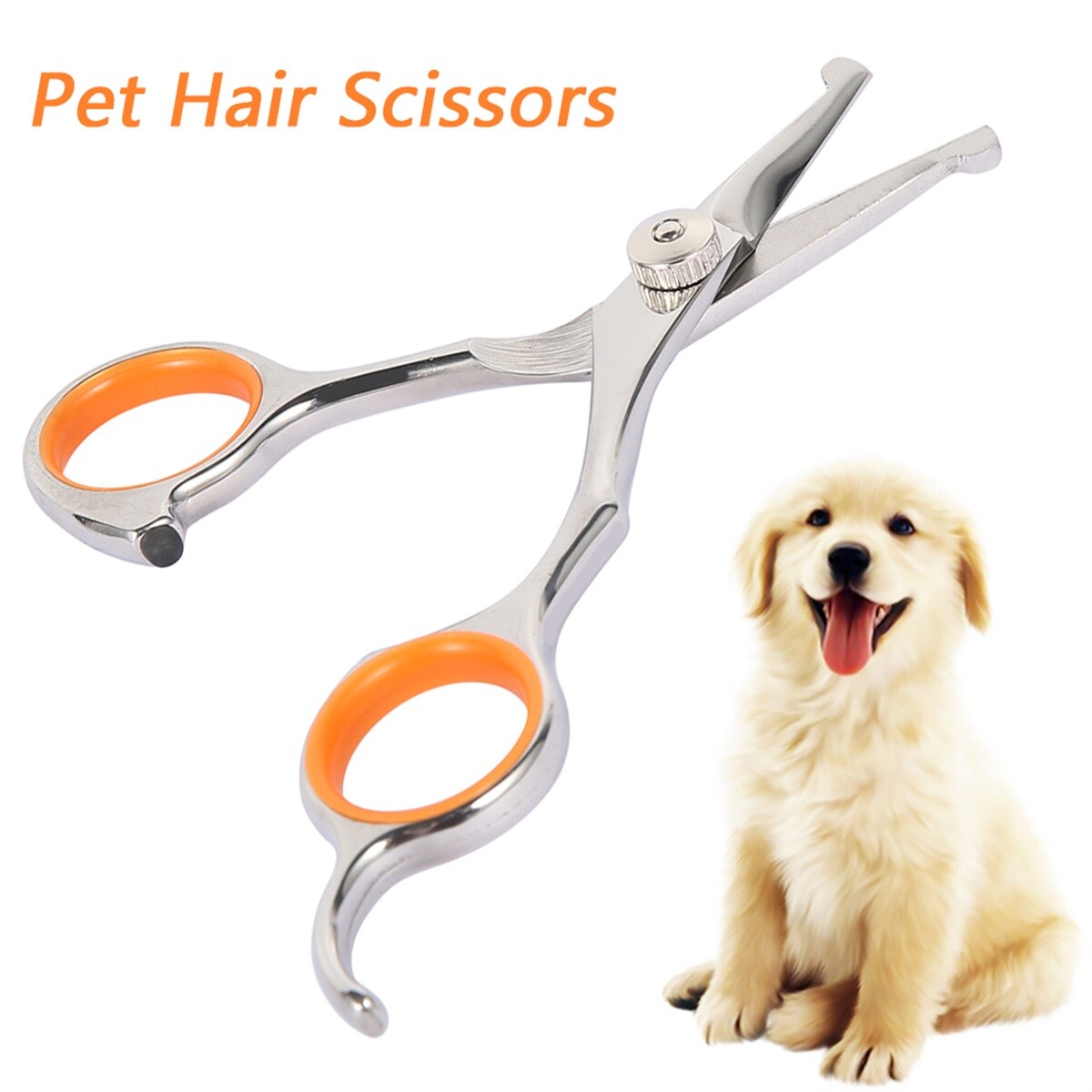 Pet Grooming Scissors with Round Tip Professional Hair Scissors Regular ...