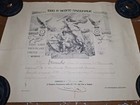 Picture 15 of 16