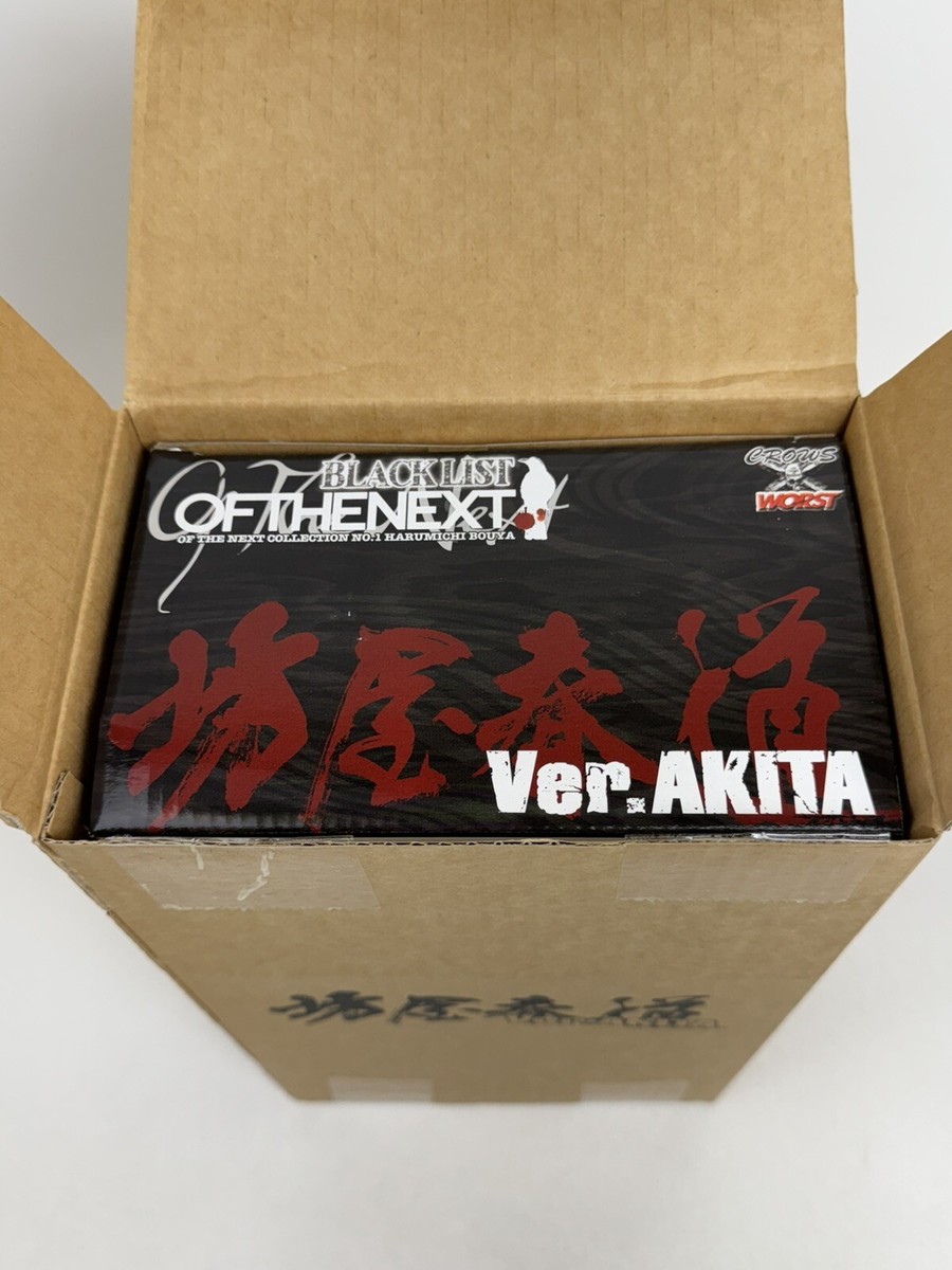 クローズ CROWS WORST BLACK LIST Ver.AKITA CROWS WORST BLACK LIST VER.AKITA #5747b1 | eBay