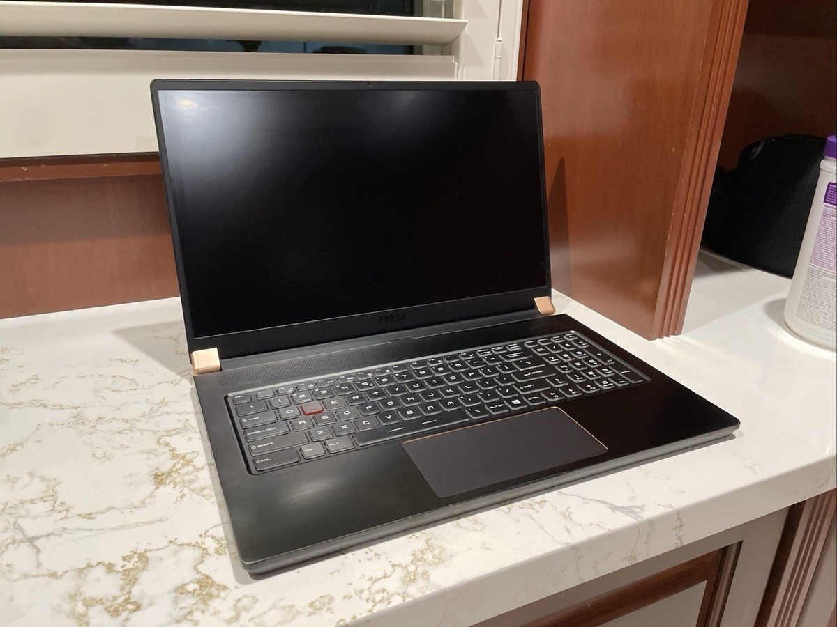 MSI GS75 Stealth 9SG Gaming Laptop (i7-9750H, RTX 2080, 32GB RAM 