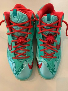 lebron 11 ebay