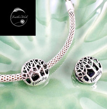 Sterling Silver 925 Charm