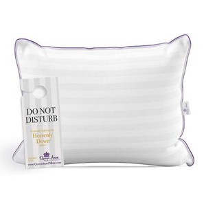 allergy free pillows