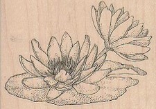 Flowering LilyPad 3 1/4 x 2 1/4" Rubber Stamp, Plants Stamp, Flowers, Trees