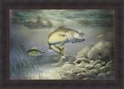 Taking The Bait by Jim Hansel 24x33 Fish Walleye Fishing Framed Wall Art Picture