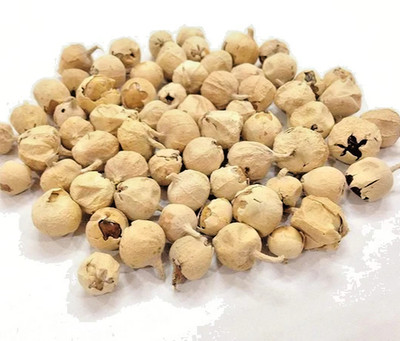 Paneer Doda - Indian Rennet Withania Coagulans Fruits Natural Raw Whole 130 gm