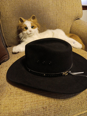 Worth&Worth  Size7  Hat Montana  Fur Felt Made In Columbia