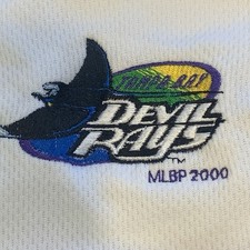 Vintage  Tampa Bay Devil Rays MLB Sewn Dynasty Baseball Jersey Men's Size L
