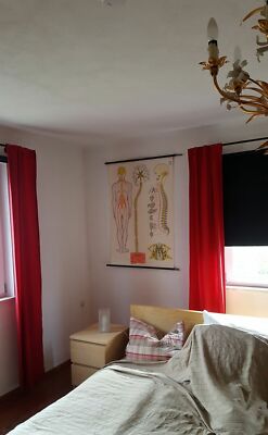 Schulwandkarte vintage Poster Rollbild Lehrtafel Anatomie Mensch Nervensystem