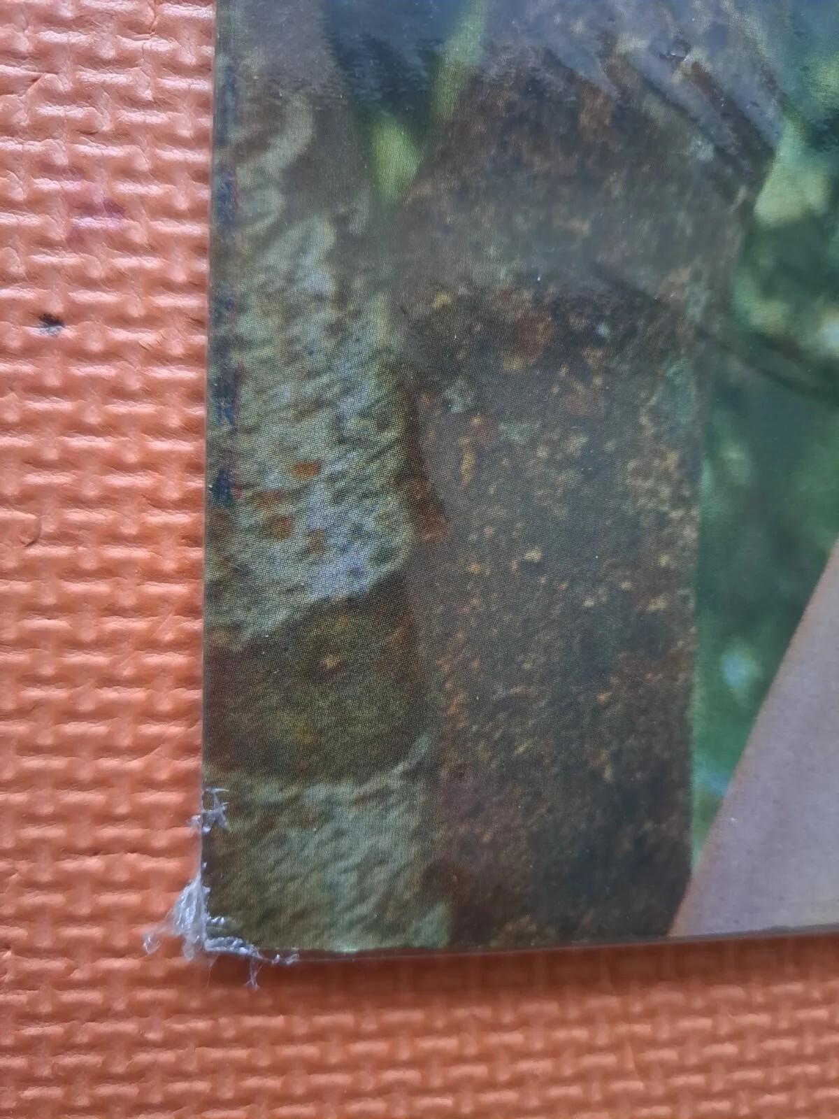 Picture 16 of 18