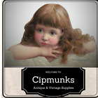 cipmunk's vintage supplies