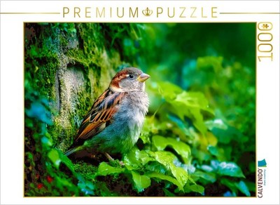 CALVENDO Puzzle Die Poesie des Alltags | 1000 Teile Lege-Größe 64x48cm Foto-Puzz