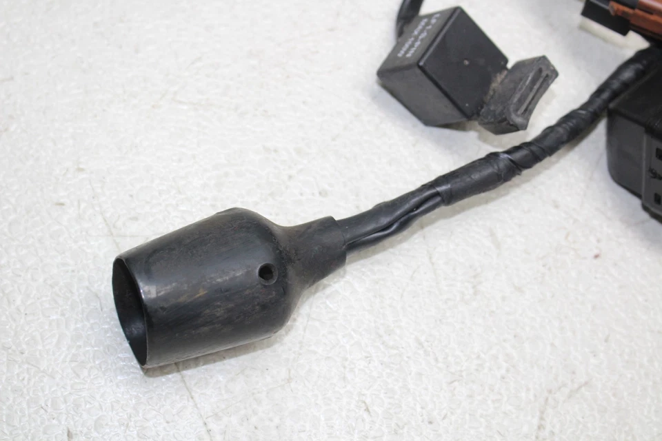 2001-2005 Yamaha Fz1 Fzs1000 жгут проводов главного двигателя жгут проводов мотора ткацкий станок - Изображение 4 из 4