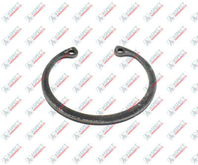 Vickers PVE27, PVH57, PVH63 Sprengring 85560