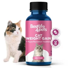 Cat Weight Gain & Hyperthyroidism Treatment