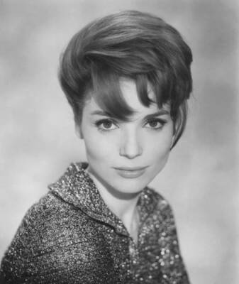 Elsa Martinelli portrait for 'Blood and Roses' 1960 Old Photo