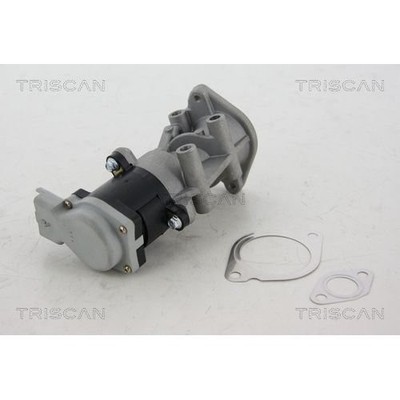 AGR-Ventil TRISCAN 881317008 für Land Rover Discovery III