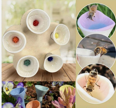 Bee Insect Drinking Cup,Thirsty Pollinators Need Safe Places to Drink,Bee Cups