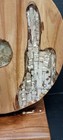 Bild 3 von 14