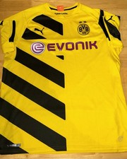 Borussia Dortmund 2014/2015