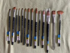 Lot of 14 Princeton Aqua Elite Synthetic brushes NEW