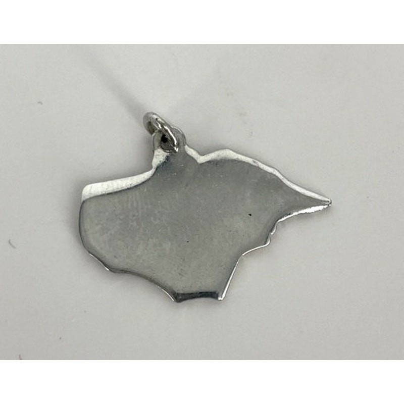 Vintage Charm NORTH CAROLINA Raleigh Asheville Charlotte View 4