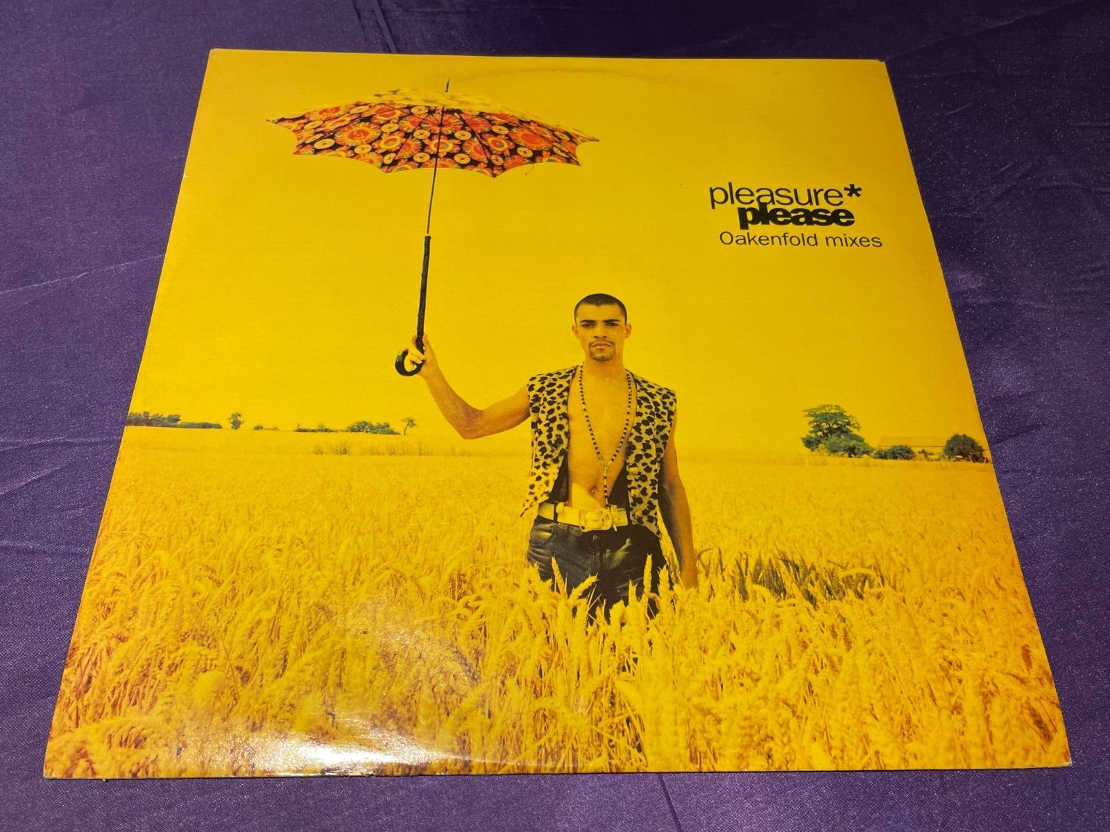 Pleasure* - Please (Oakenfold Mixes) - Vinyl Record 12"" Single - 1990 Anxious
