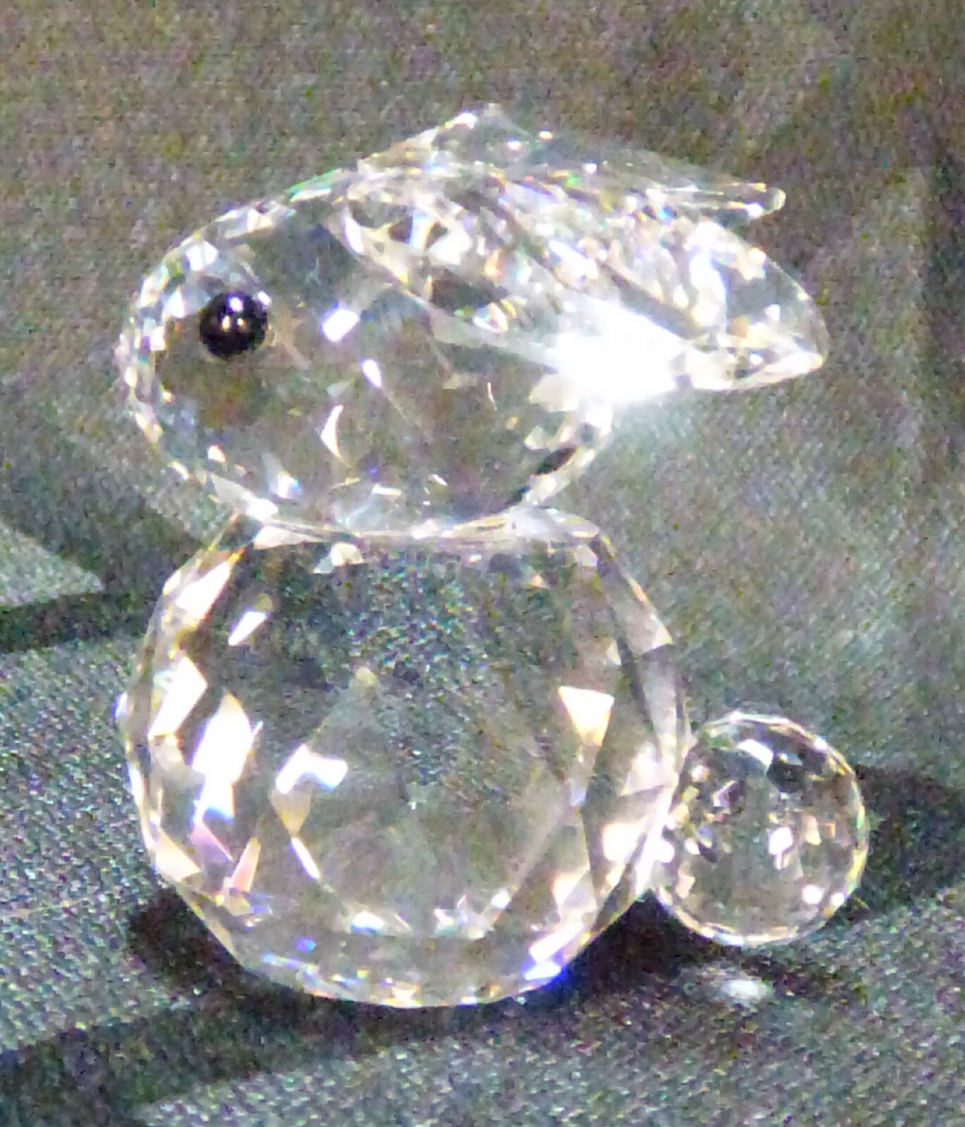 Picture 5 of 11