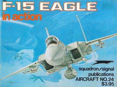 F-15 Eagle in Action (Staffel/Signalflugzeug Nr.24) - neue Kopie