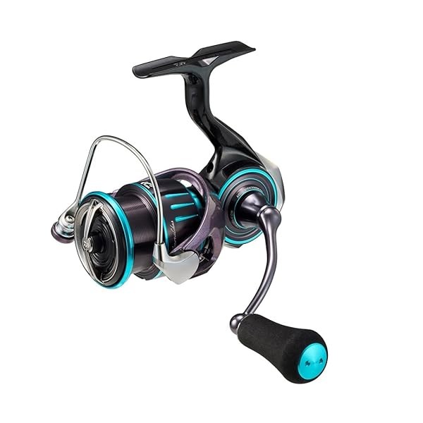 Daiwa 23 EMERALDAS RX LT2500 5.2 Spinning Reel Both Handed 00061203 BlackxG