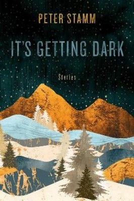 Peter Stamm It's Getting Dark (Hardback)